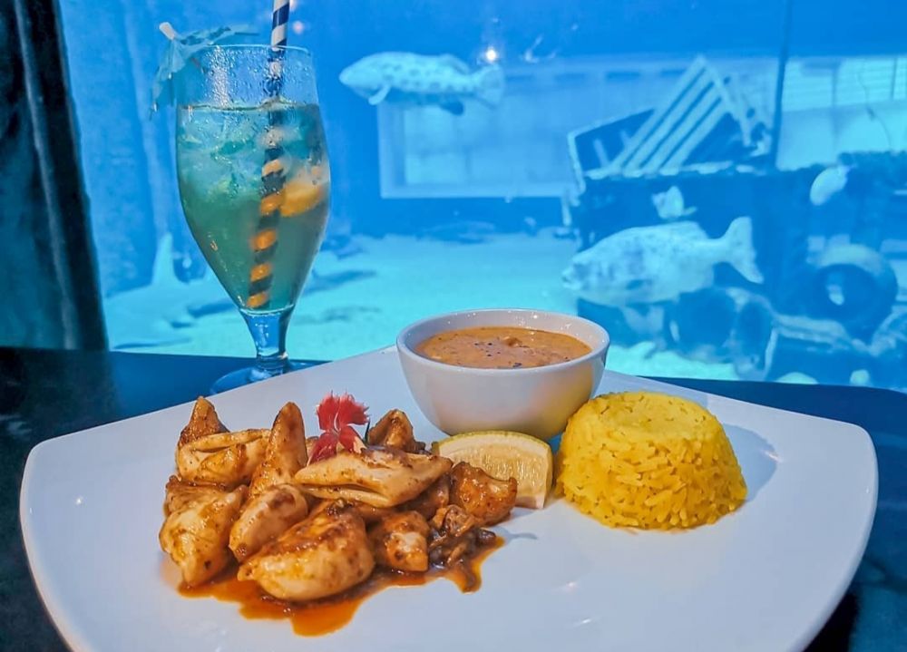 5 Restoran Bawah Laut Memukau di Bahamas, Sensasinya Unik!